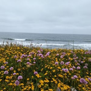 Meet your Posher, Ashleigh